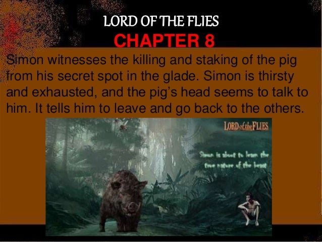 Lotf test review