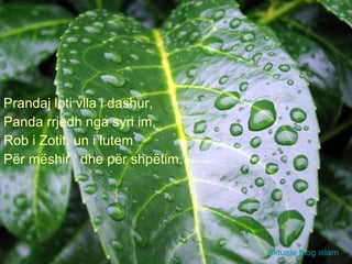 Prandaj loti vlla i dashur, Panda rrjedh nga syri im, Rob i Zotit, un i lutem Për mëshir ‘ dhe për shpëtim. Aktuale blog islam 