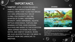 Lotic System Examples Lotic ecosystems. Fresh water existence then ppt.pptx