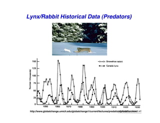 Lynx/Rabbit Historical Data (Predators)
"
http://www.globalchange.umich.edu/globalchange1/current/lectures/predation/predation.html
"
 