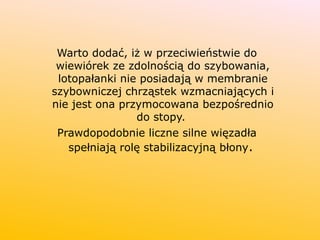 Warto dodać, iż w przeciwieństwie do
wiewiórek ze zdolnością do szybowania,
lotopałanki nie posiadają w membranie
szybowniczej chrząstek wzmacniających i
nie jest ona przymocowana bezpośrednio
do stopy.
Prawdopodobnie liczne silne więzadła
spełniają rolę stabilizacyjną błony.
 