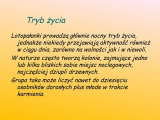 Tryb życia
Lotopałanki prowadzą głównie nocny tryb życia,
jednakże niekiedy przejawiają aktywność również
w ciągu dnia, zarówno na wolności jak i w niewoli.
W naturze często tworzą kolonie, zajmujące jedno
lub kilka bliskich sobie miejsc noclegowych,
najczęściej dziupli drzewnych.
Grupa taka może liczyć nawet do dziesięciu
osobników dorosłych plus młode w trakcie
karmienia.
 