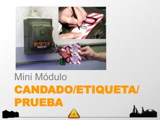 CANDADO/ETIQUETA/
PRUEBA
Mini Módulo
 
