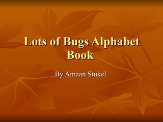 Lots of Bugs Alphabet Book  By Amaan Stukel  