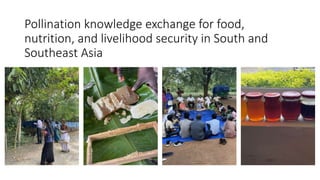 Pollination knowledge exchange for food,
nutrition, and livelihood security in South and
Southeast Asia
 