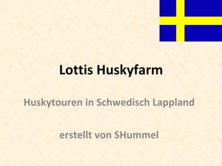 Lottis Huskyfarm Huskytouren in Schwedisch Lappland erstellt von SHummel 
