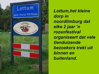 Lottum,het kleine dorp in noordlimburg dat elke 2 jaar ‘n rozenfestival organiseert dat vele tienduizende bezoekers trekt uit binnen en buitenland. 