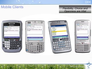 Mobile Clients Flexibility, Choice and Openness are Vital 