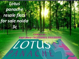 Lotus
panache
resale flats
for sale noida
3c
Contact us: Kapil arora = 9313333933, 9313333932

 
