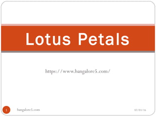 https://www.bangalore5.com/
02/03/16bangalore5.com1
Lotus Petals
 