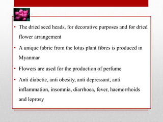 • The dried seed heads, for decorative purposes and for dried
flower arrangement
• A unique fabric from the lotus plant fibres is produced in
Myanmar
• Flowers are used for the production of perfume
• Anti diabetic, anti obesity, anti depressant, anti
inflammation, insomnia, diarrhoea, fever, haemorrhoids
and leprosy
 