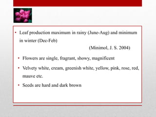 • Leaf production maximum in rainy (June-Aug) and minimum
in winter (Dec-Feb)
(Minimol, J. S. 2004)
• Flowers are single, fragrant, showy, magnificent
• Velvety white, cream, greenish white, yellow, pink, rose, red,
mauve etc.
• Seeds are hard and dark brown
 