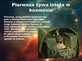 Pierwsza żywa istota w
            kosmosie
Pierwszą, żywą istotą w kosmosie był
pies o imieniu Kudriawka rasy łajka.
Zwierzę w przestrzeń kosmiczną wyniósł
drugi radziecki satelita Sputnik II.
Całe zdarzenie miało miejsce 3 listopada
1957. Niestety pies nie mógł
wrócić z powrotem na Ziemię.
Po pięciu dniach pobytu
w Kosmosie Kudriawka
zginęła na orbicie.
 