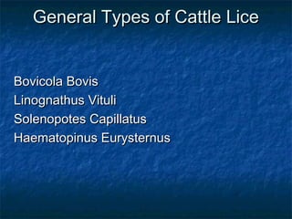 General Types of Cattle LiceGeneral Types of Cattle Lice
Bovicola BovisBovicola Bovis
Linognathus VituliLinognathus Vituli
Solenopotes CapillatusSolenopotes Capillatus
Haematopinus EurysternusHaematopinus Eurysternus
 