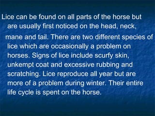 Lice can be found on all parts of the horse but
are usually first noticed on the head, neck,
mane and tail. There are two different species of
lice which are occasionally a problem on
horses. Signs of lice include scurfy skin,
unkempt coat and excessive rubbing and
scratching. Lice reproduce all year but are
more of a problem during winter. Their entire
life cycle is spent on the horse.
 