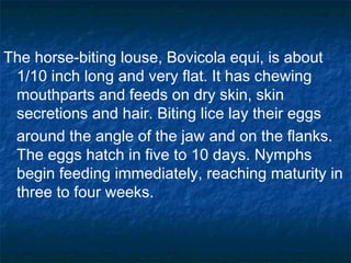 The horse-biting louse, Bovicola equi, is about
1/10 inch long and very flat. It has chewing
mouthparts and feeds on dry skin, skin
secretions and hair. Biting lice lay their eggs
around the angle of the jaw and on the flanks.
The eggs hatch in five to 10 days. Nymphs
begin feeding immediately, reaching maturity in
three to four weeks.
 