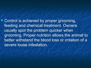  Control is achieved by proper grooming,
feeding and chemical treatment. Owners
usually spot the problem quicker when
grooming. Proper nutrition allows the animal to
better withstand the blood loss or irritation of a
severe louse infestation.
 