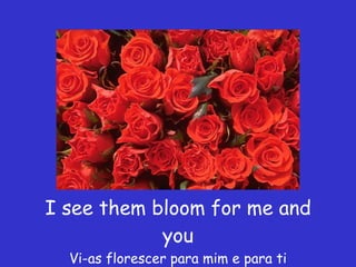 I see them bloom for me and you Vi-as florescer para mim e para ti 