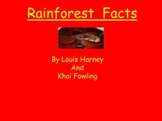 Rainforest Facts
By Louis Harney
And
Khai Fowling
 