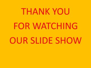 THANK YOU
FOR WATCHING
OUR SLIDE SHOW
 
