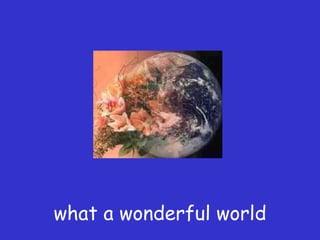 what a wonderful world
 