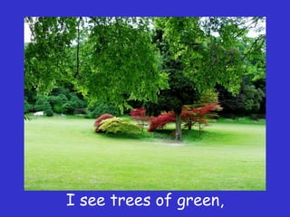 I see trees of green,
 