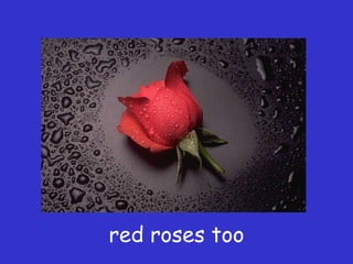 red roses too
 