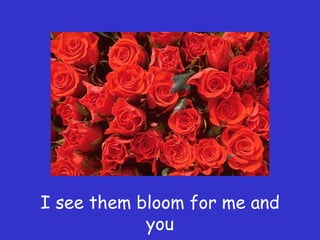 I see them bloom for me and
            you
 