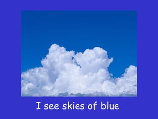 I see skies of blue
 