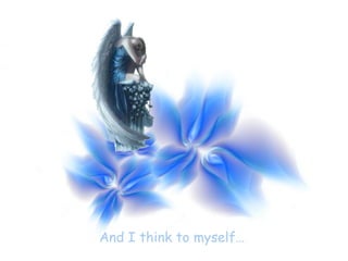 And I think to myself…  