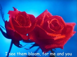 I see them bloom, for me and you 