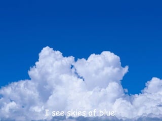 I see skies of blue  