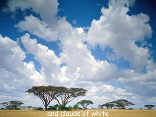 and clouds of white 