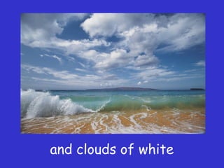 and clouds of white
 