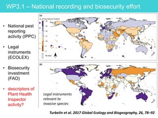 WP3.1 – National recording and biosecurity effort
• National pest
reporting
activity (IPPC)
• Legal
instruments
(ECOLEX)
• Biosecurity
investment
(FAO)
• descriptors of
Plant Health
Inspector
activity?
Turbelin et al. 2017 Global Ecology and Biogeography, 26, 78–92
Legal instruments
relevant to
invasive species
 
