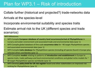 Plan for WP3.1 – Risk of introduction
Collate further (historical and projected?) trade-networks data
Arrivals at the species-level
Incorporate environmental suitability and species traits
Estimate arrival risk to the UK (different species and trade
scenarios)
WP3 Milestones
• WP3 Compile European database of country level occurrence/arrival of Phytophthoras in
nursery and wider environment and associated trade and environmental data (year 1)
• WP3 Compile global database of fine scale occurrence data for ~40 target Phytophthora species
and associated environmental data (year 1)
• WP3 Compile traits database for Phytophthora species (including all species found in Europe plus
selected others worldwide) (year 2)
• WP3 Complete models relating to patterns of introduction and establishment in Europe to
species traits, trade pathways and local environmental conditions and global niche models for ~
40 target Phytophthora species worldwide (year 3)
• WP3 Develop policy brief for UK risk register board and other stakeholders on improved risk
ranking for Phytophthoras (year 3)
 