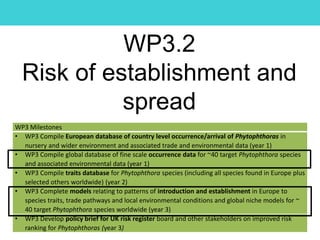 WP3.2
Risk of establishment and
spread
WP3 Milestones
• WP3 Compile European database of country level occurrence/arrival of Phytophthoras in
nursery and wider environment and associated trade and environmental data (year 1)
• WP3 Compile global database of fine scale occurrence data for ~40 target Phytophthora species
and associated environmental data (year 1)
• WP3 Compile traits database for Phytophthora species (including all species found in Europe plus
selected others worldwide) (year 2)
• WP3 Complete models relating to patterns of introduction and establishment in Europe to
species traits, trade pathways and local environmental conditions and global niche models for ~
40 target Phytophthora species worldwide (year 3)
• WP3 Develop policy brief for UK risk register board and other stakeholders on improved risk
ranking for Phytophthoras (year 3)
 