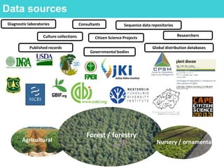 Culture collections Citizen Science Projects
Governmental bodies
Global distribution databases
Data sources
Published records
Diagnostic laboratories Sequence data repositoriesConsultants
Researchers
Agricultural
Forest / forestry
Nursery / ornamental
 