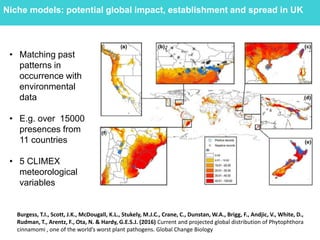Niche models: potential global impact, establishment and spread in UK
Burgess, T.I., Scott, J.K., McDougall, K.L., Stukely, M.J.C., Crane, C., Dunstan, W.A., Brigg, F., Andjic, V., White, D.,
Rudman, T., Arentz, F., Ota, N. & Hardy, G.E.S.J. (2016) Current and projected global distribution of Phytophthora
cinnamomi , one of the world’s worst plant pathogens. Global Change Biology
• Matching past
patterns in
occurrence with
environmental
data
• E.g. over 15000
presences from
11 countries
• 5 CLIMEX
meteorological
variables
 