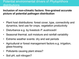 Potential environmental drivers of Phytophthora
distributions
Inclusion of non-climatic factors: fine-grained accurate
picture of potential pathogen distribution
• Plant host distributions: forest cover, type, connectivity and
dynamics, land use for crops, vegetation productivity
• Disturbance e.g. by livestock P. austrocedri
• Seasonal thermal, soil moisture and rainfall variability
• Extreme weather events: dry and wet periods
• Agricultural or forest management factors e.g. irrigation,
glass-housing
• Pollutants causing plant stress?
• Soil pH, soil nitrogen?
 