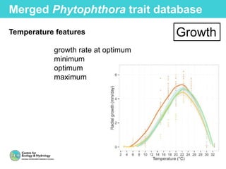 Merged Phytophthora trait database
Temperature features
growth rate at optimum
minimum
optimum
maximum
Growth
 