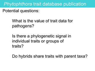 Phytophthora trait database publication
Potential questions:
What is the value of trait data for
pathogens?
Is there a phylogenetic signal in
individual traits or groups of
traits?
Do hybrids share traits with parent taxa?
 