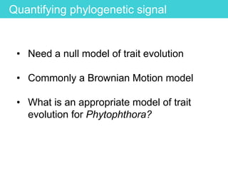 Quantifying phylogenetic signal
• Need a null model of trait evolution
• Commonly a Brownian Motion model
• What is an appropriate model of trait
evolution for Phytophthora?
 