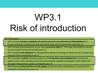 WP3.1
Risk of introduction
WP3 Milestones
• WP3 Compile European database of country level occurrence/arrival of Phytophthoras in
nursery and wider environment and associated trade and environmental data (year 1)
• WP3 Compile global database of fine scale occurrence data for ~40 target Phytophthora species
and associated environmental data (year 1)
• WP3 Compile traits database for Phytophthora species (including all species found in Europe plus
selected others worldwide) (year 2)
• WP3 Complete models relating to patterns of introduction and establishment in Europe to
species traits, trade pathways and local environmental conditions and global niche models for ~
40 target Phytophthora species worldwide (year 3)
• WP3 Develop policy brief for UK risk register board and other stakeholders on improved risk
ranking for Phytophthoras (year 3)
 