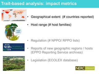 Trait-based analysis: impact metrics
• Geographical extent (# countries reported)
• Host range (# host families)
• Regulation (# NPPO/ RPPO lists)
• Reports of new geographic regions / hosts
(EPPO Reporting Service archives)
• Legislation (ECOLEX database)
 