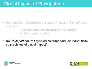 Global impact of Phytophthora
• Can species traits explain the global impact of Phytophthora
species?
- Phytophthora trait database (170 species)
- Global impact metrics
• Do Phytophthora trait syndromes outperform individual traits
as predictors of global impact?
 