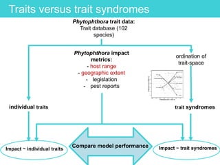 Traits versus trait syndromes
Phytophthora trait data:
Trait database (102
species)
ordination of
trait-space
trait syndromesindividual traits
Compare model performance
Impact ~ individual traits Impact ~ trait syndromes
Phytophthora impact
metrics:
- host range
- geographic extent
- legislation
- pest reports
 