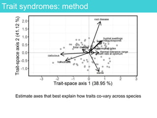 Trait syndromes: method
Estimate axes that best explain how traits co-vary across species
 