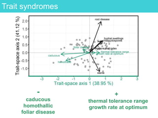-
caducous
homothallic
foliar disease
+
thermal tolerance range
growth rate at optimum
Trait syndromes
 