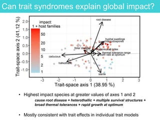 Can trait syndromes explain global impact?
• Highest impact species at greater values of axes 1 and 2
cause root disease + heterothallic + multiple survival structures +
broad thermal tolerances + rapid growth at optimum
• Mostly consistent with trait effects in individual trait models
 